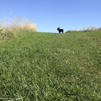 Euston Park - Guys! Can you see me? It's sooperpretty up here! - Parks Near Me - London, Ontario Euston Park - Guys! Can you see me? It's sooperpretty up here! - Parks Near Me - London, Ontario