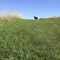 Euston Park - Guys! Can you see me? It's sooperpretty up here!