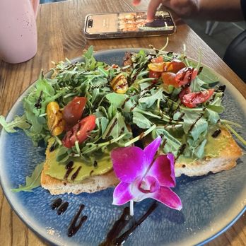 Corner Kitchen & Coffee House - Cafes Near Me - Madeira Beach, Florida Corner Kitchen & Coffee House - Cafes Near Me - Madeira Beach, Florida