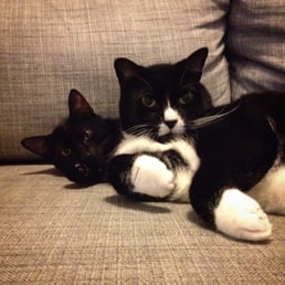Tiny Dexter with his older brother Woody Tiny Dexter with his older brother Woody