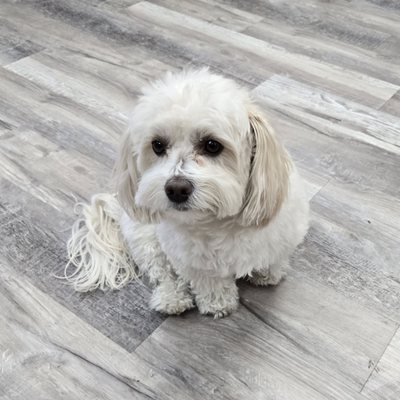 Family Health Market