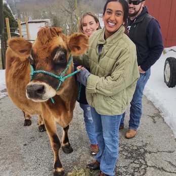 Baily’s Dairy - Meet Priscilla! She loves treats, and scratches. - Specialty Food Near Me - West Chester, Pennsylvania Baily’s Dairy - Meet Priscilla! She loves treats, and scratches. - Specialty Food Near Me - West Chester, Pennsylvania