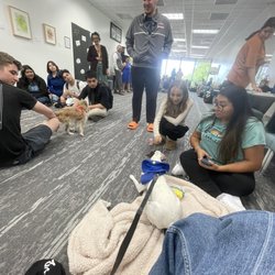 University of Houston-Clear Lake - We spend time in the library while students take a Study "Paws"
