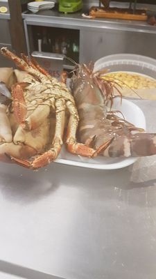 A Marisqueira do Lis by null