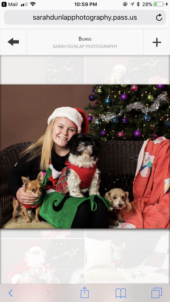 POOCH’S PALACE Updated September 2024 3053 Mount Vernon Rd