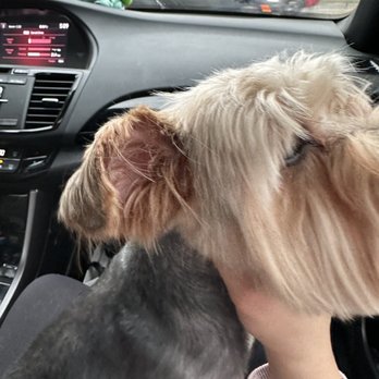 Petco - Pet Stores Near Me - Houston, Texas