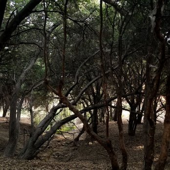 Aliso Canyon Park - Hiking Near Me - Granada Hills, California