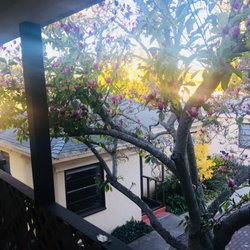 Studio Selah - View from front door