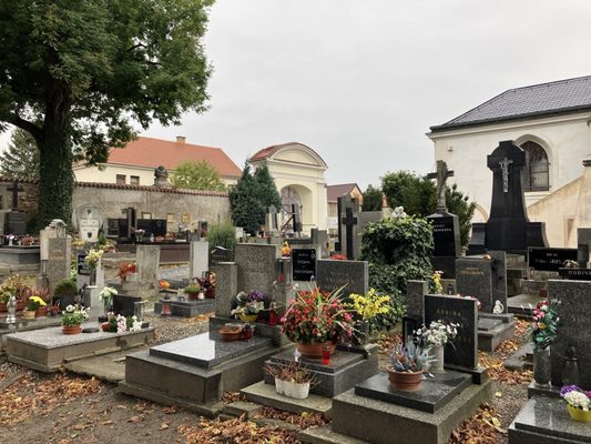 Sedlec Ossuary by null