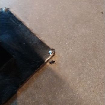 Shake Shack Las Colinas - Roach climbing under chair... - Fast Food Near Me - Irving, Texas