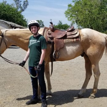 Pipe Dreams Farm - Nugget is a real gem of a horse. - Horseback Riding Near Me - Rio Oso, California Pipe Dreams Farm - Nugget is a real gem of a horse. - Horseback Riding Near Me - Rio Oso, California