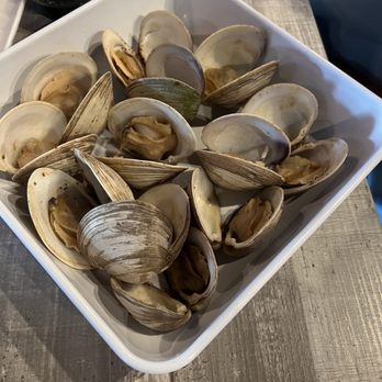 Coco's Crush Bar and Grill - Clams - Seafood Near Me - Indian Rocks Beach, Florida Coco's Crush Bar and Grill - Clams - Seafood Near Me - Indian Rocks Beach, Florida