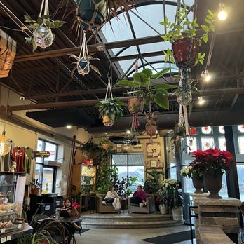 Blüm Coffee Garden - Coffee & Tea Near Me - Greenfield, Wisconsin