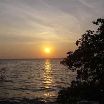 Sea Chaser Realty - Real Estate Agents Near Me - Orange Park, Florida Sea Chaser Realty - Real Estate Agents Near Me - Orange Park, Florida