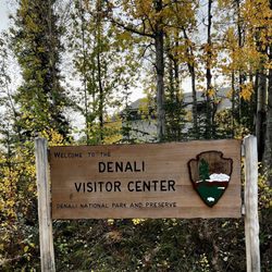 Denali National Park