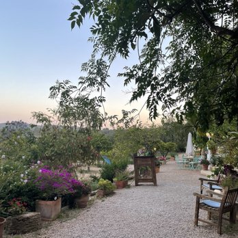La Paloma - Mediterranean Near Me - Ibiza, SP La Paloma - Mediterranean Near Me - Ibiza, SP