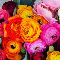 Parker Dane Salon & Boutique - Beautiful peonies to celebrate a new business adventure!