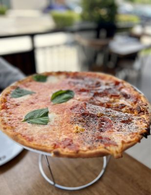 Mister O1 Extraordinary Pizza Pembroke Pines by null