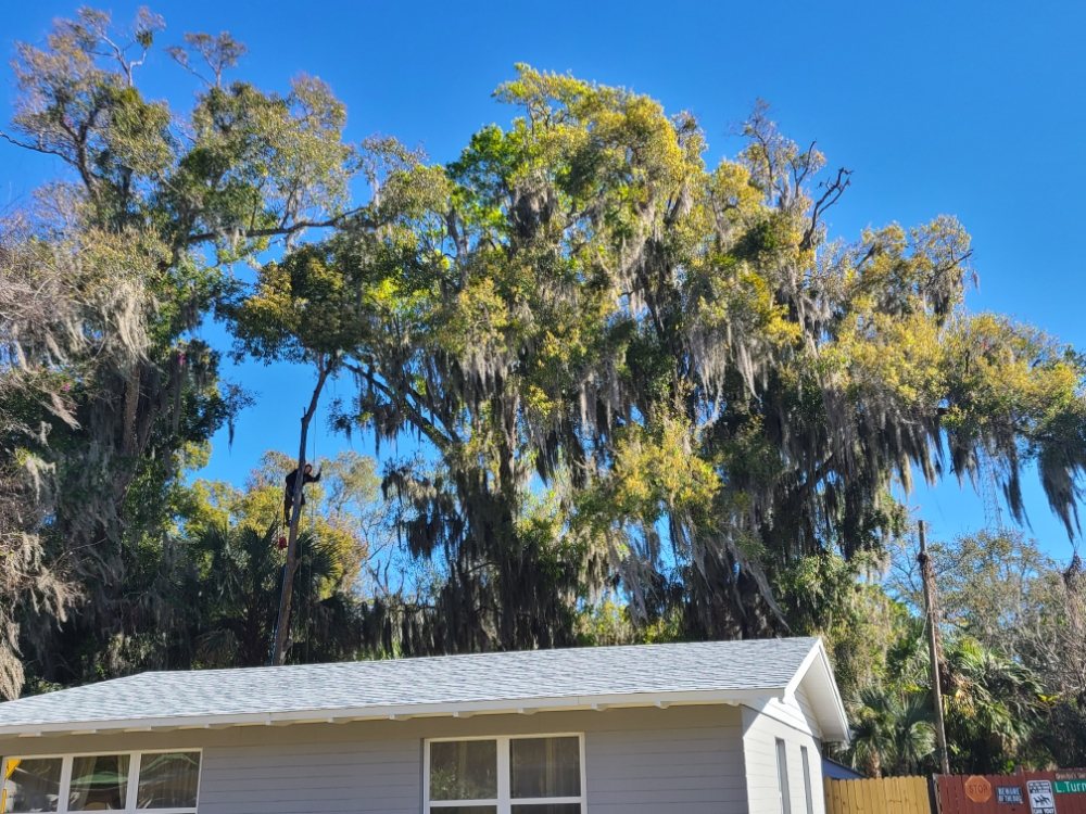 JMH LAND MANAGEMENT Updated September 2024 Request a Quote 28