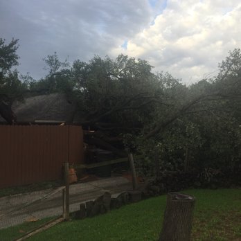 Total Unique Tree Service - Tree Services Near Me - Plano, Texas Total Unique Tree Service - Tree Services Near Me - Plano, Texas
