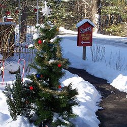 Slack's Jams and Jellies - Winter wonderland.