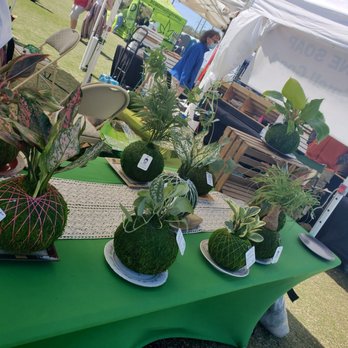 South Florida Garlic Fest - Festivals Near Me - Wellington, Florida South Florida Garlic Fest - Festivals Near Me - Wellington, Florida