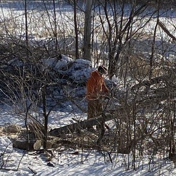 Sunrise Tree Service - Working multiple areas at a time. - Tree Services Near Me Sunrise Tree Service - Working multiple areas at a time. - Tree Services Near Me