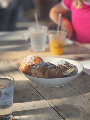 Tiny Boxwoods by null