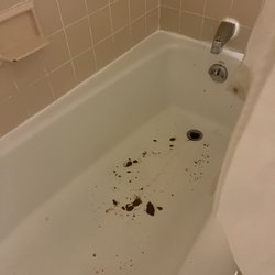 Americana Inn - Shyt