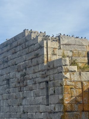 Popham Beach State Park by null