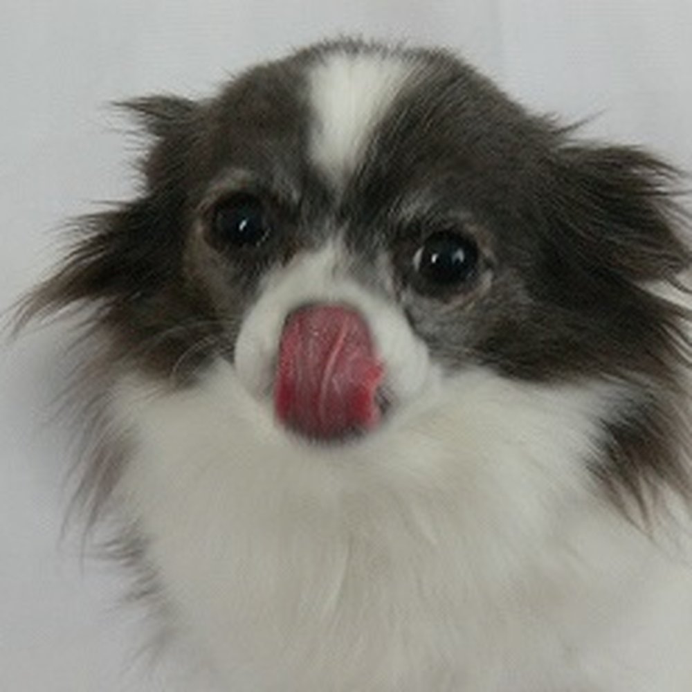 Ozzie