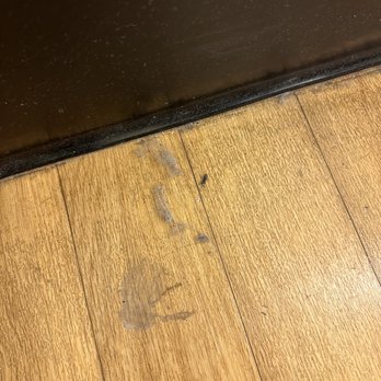 TJ MAXX - Updated August 2024 - 40 Photos & 70 Reviews - 9828 Great