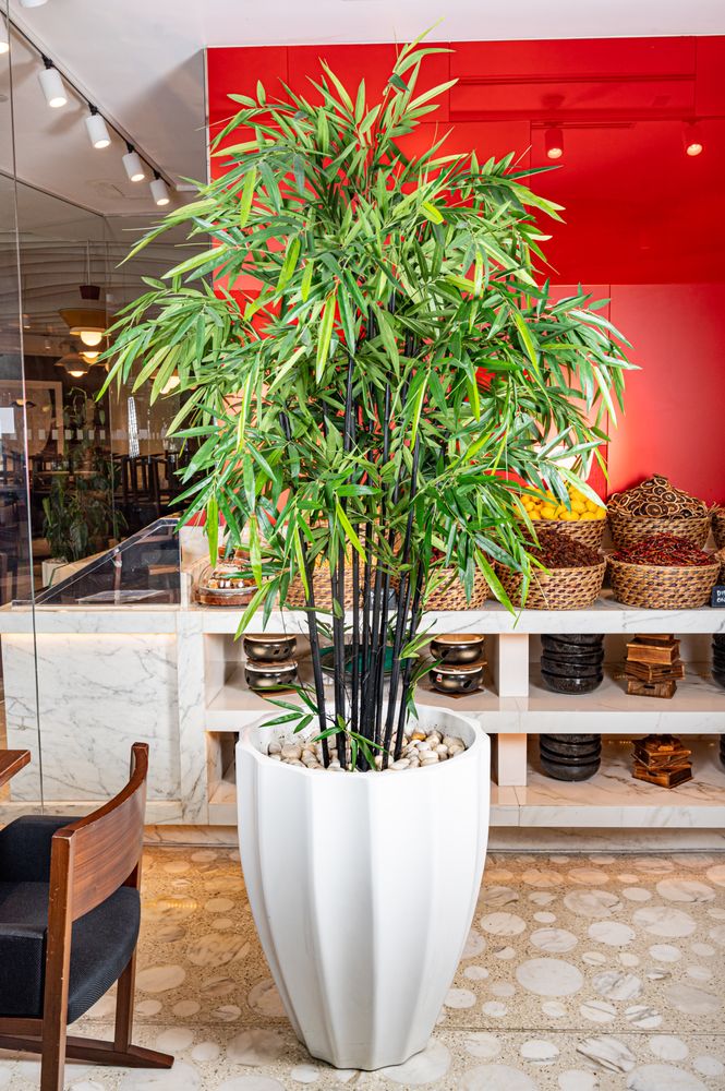 SILK FLORAL GALLERY Updated September 2024 21 Photos 644 W