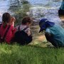 Photo of The Forest School of Minnesota
