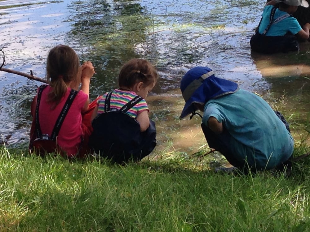 The Forest School of Minnesota - childcare center in Minneapolis, MN