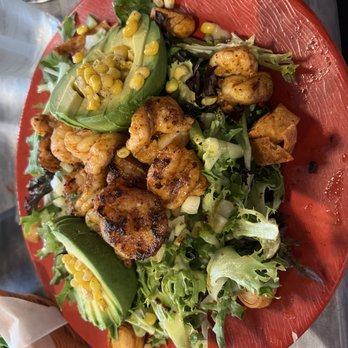Whiptail Grill - Stuffed Avocado Salad - Mexican Near Me - Springdale, Utah Whiptail Grill - Stuffed Avocado Salad - Mexican Near Me - Springdale, Utah