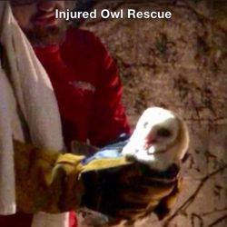 Irwins Animal Control and Trap