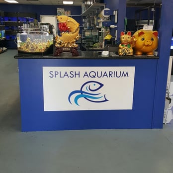 Splash Aquarium - Local Fish Stores Near Me - Sacramento, California Splash Aquarium - Local Fish Stores Near Me - Sacramento, California