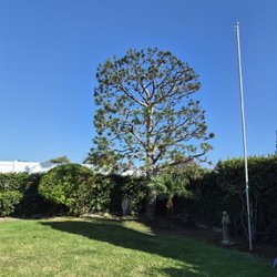 Tree Services Flores