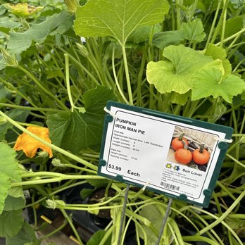 Deneweth's Garden Center - Nurseries & Gardening Near Me - Macomb, Michigan