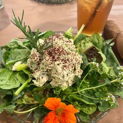 Thyme of Grace - Herbed chicken salad on greens and Iced Ginger Peach Tea.