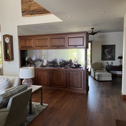 Arizona Reef Service - 400 gallon Tank