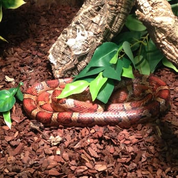 Megazoo - Pet Stores Near Me - Hamburg, HH