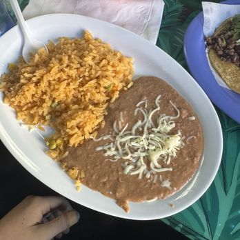 Coyotes Restaurant - Mexican Near Me - Chicago, Illinois