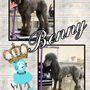 Photo of Hair of the Dog Groomery