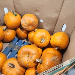 Leduc Produce Market