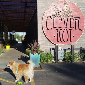 The Clever Koi - Clever Koi is dog-friendly as demonstrated by Penny making her way toward the patio. - Asian Fusion Near Me - Phoenix, Arizona The Clever Koi - Clever Koi is dog-friendly as demonstrated by Penny making her way toward the patio. - Asian Fusion Near Me - Phoenix, Arizona