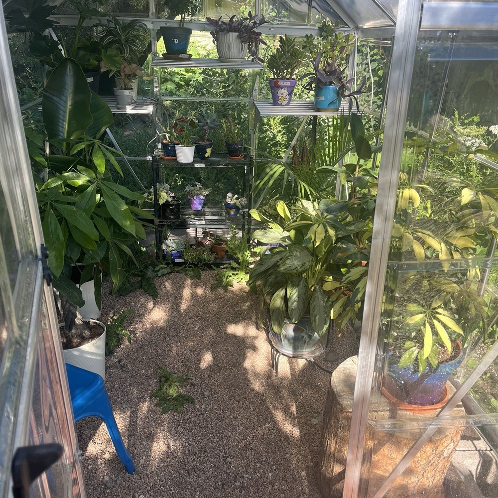 Moon Frog Coffee - Greenhouse - Coffee & Tea Near Me - Winter Park, Colorado Moon Frog Coffee - Greenhouse - Coffee & Tea Near Me - Winter Park, Colorado