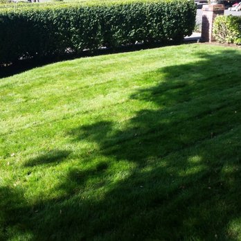 Urban Eden Landscaping - Lawn Care - Junk Removal & Hauling Near Me - Camas, Washington Urban Eden Landscaping - Lawn Care - Junk Removal & Hauling Near Me - Camas, Washington
