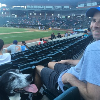 Jacksonville Jumbo Shrimp - Bark at the Park- bring your pup to the game! - Professional Sports Teams Near Me - Jacksonville, Florida